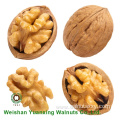 Cost-effective Walnut Kernels Light color Pieces(LP)